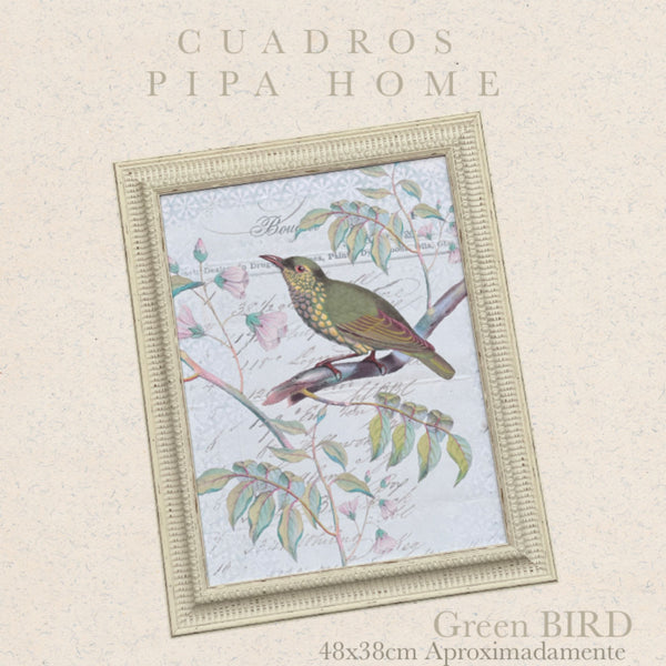 Cuadro Green Bird